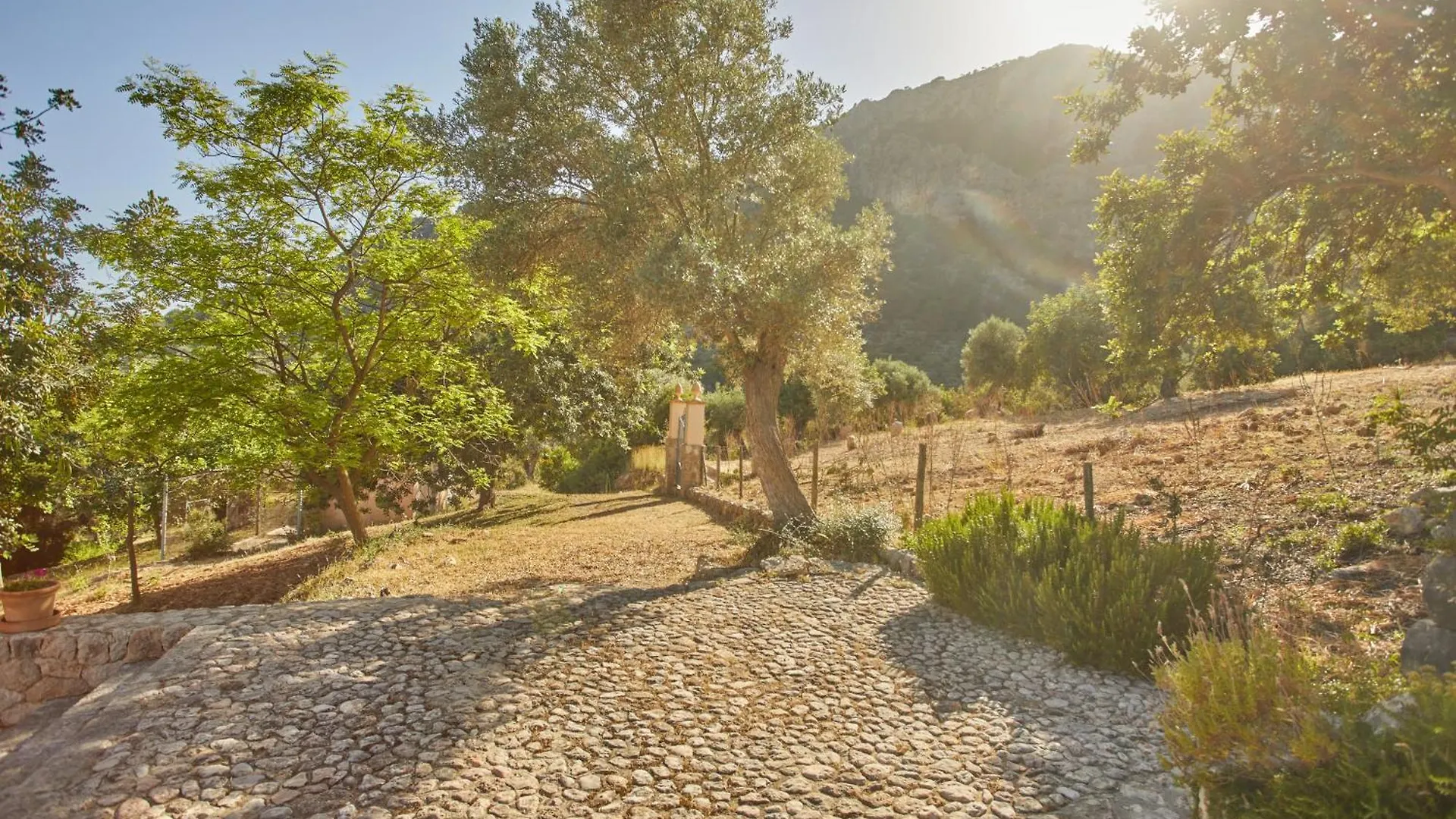Agroturismo Alqueria Blanca Bunyola Farm stay