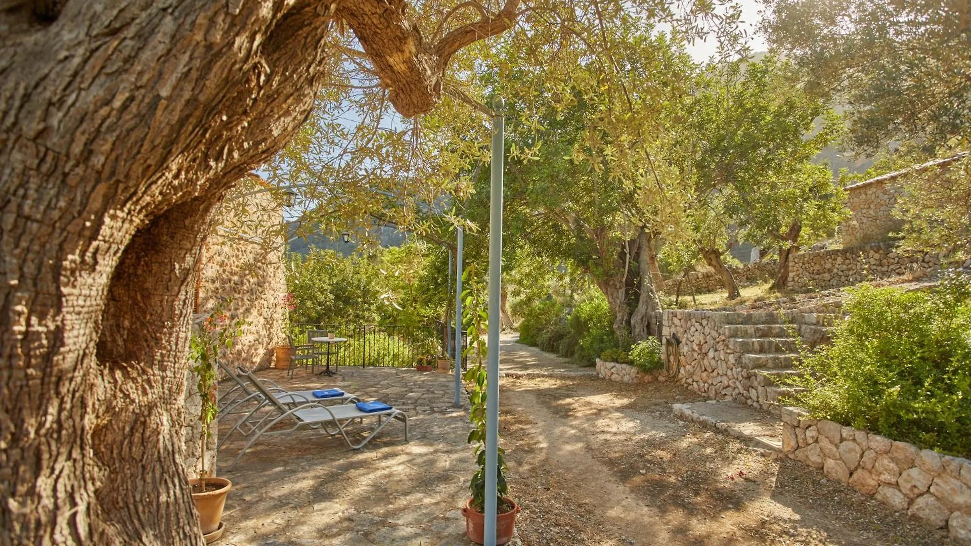 Farm stay Agroturismo Alqueria Blanca Bunyola