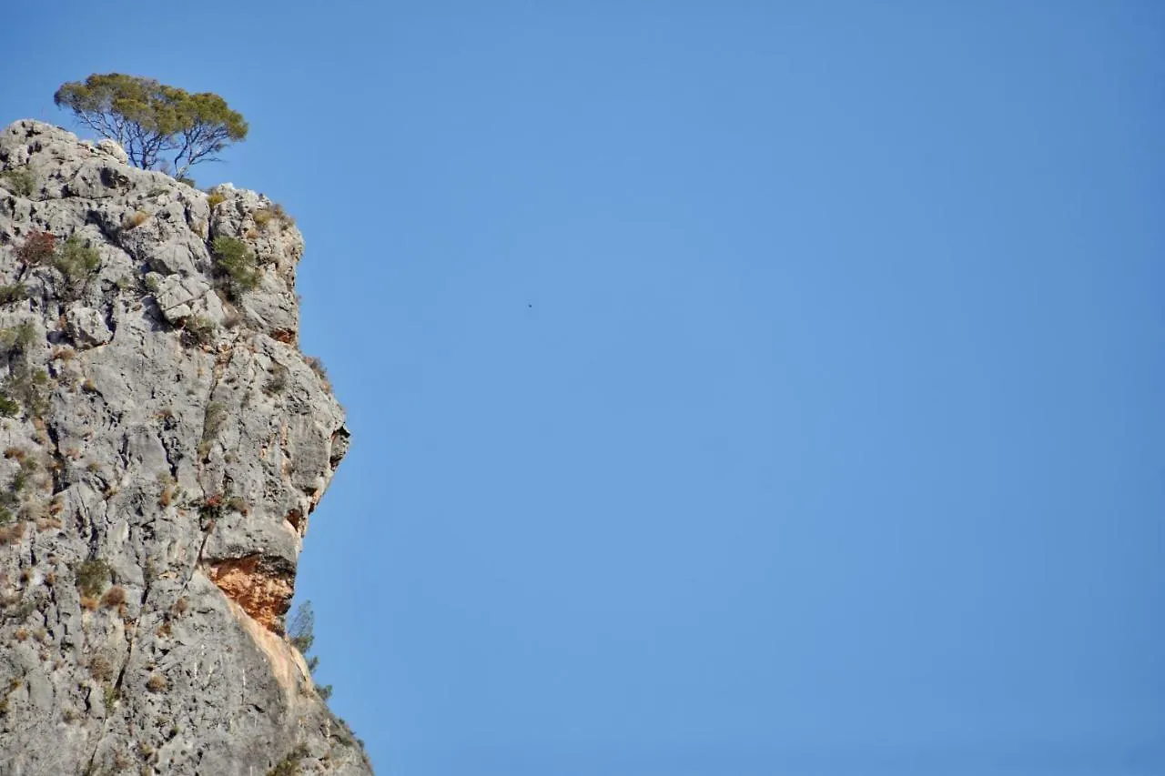 Agroturismo Alqueria Blanca Bunyola Spain
